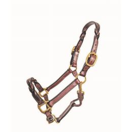 Twisted Leather Halter