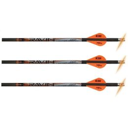 Ravin R134 .001 Premium Match-Grade Lighted Arrows (3 Pack)
