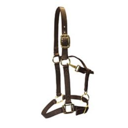Nylon Halters (Color: Brass, Country of Manufacture: United States)