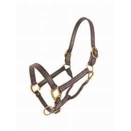 1" Track Halter (Color: Brass, Country of Manufacture: United States)